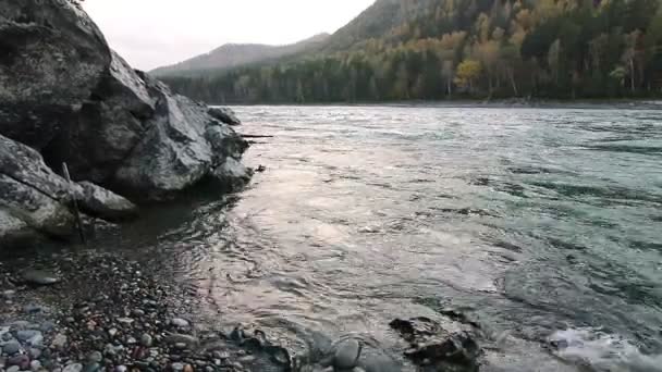 Coast Mountain Katun river in the Altai, Russia — Stock Footage Coast Mountain Katun river in the Altai, Russia Stock Footage
