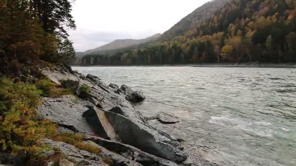 Rocky shore of a mountain river Katun in Altay, Russia — Stock Footage Rocky shore of a mountain river Katun in Altay, Russia Stock Video