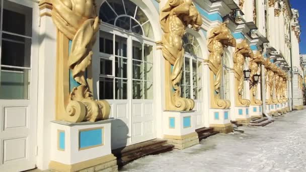 Panorama of Catherine Palace in Pushkin, St. Petersburg, Russia — Stock Footage Panorama of Catherine Palace in Pushkin, St. Petersburg, Russia Royalty Free Stock Footage