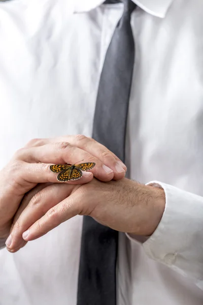 Butterfly sitting on a mans hands — Stock Photo, Image