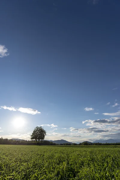 Beautiful nature and sky — Stock Photo, Image