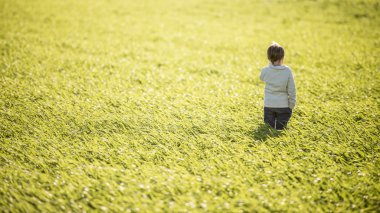 Yüksek yeşil çim ortasında duran yürümeye başlayan çocuk
