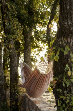 Bir kişi bir ağaç gölgesinde bir hamakta rahatlatıcı