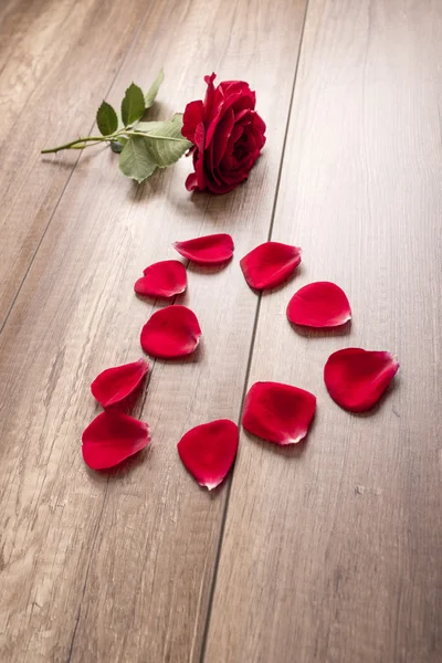 Rosa com algumas pétalas separadas na mesa — Fotografia de Stock