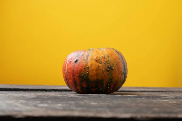 Low Angle View Squash Pumpkin Rustic Wooden Desk Yellow Background — Stock Photo, Image