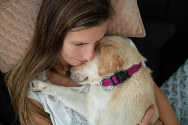 Top View Young Woman Cuddling Her Cute White Puppy Dog — Stock Photo, Image