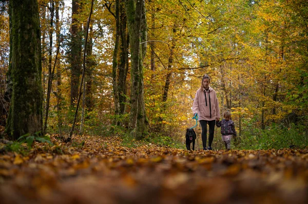 母親と幼児の娘は美しい秋の森の中を歩く彼らの家族の黒い羊飼いの犬 — ストック写真