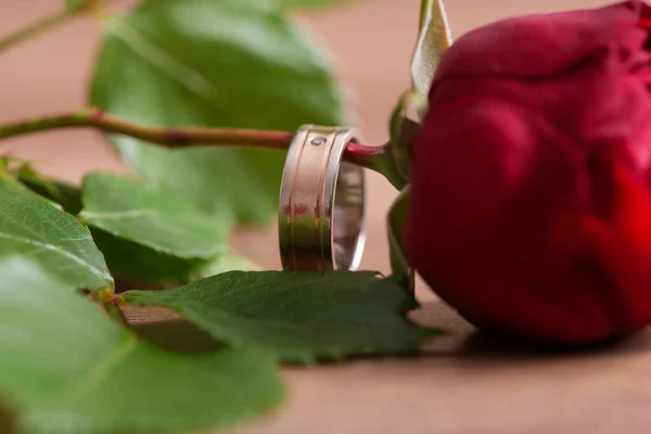 Nahaufnahme Eines Hochzeits Oder Verlobungsrings Einem Stiel Schöner Roter Rose — Stockfoto