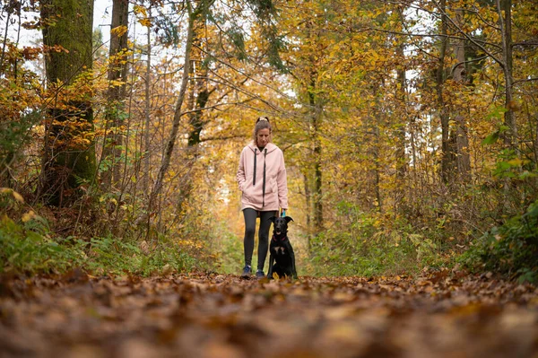 Jonge Vrouw Prachtig Herfstbos Met Haar Zwarte Herdershond Naast Haar — Stockfoto