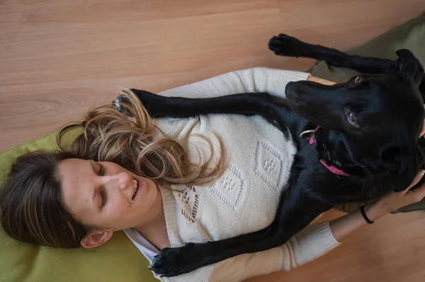 Mujer Joven Acostada Suelo Sala Estar Con Hermoso Perro Pastor — Foto de Stock