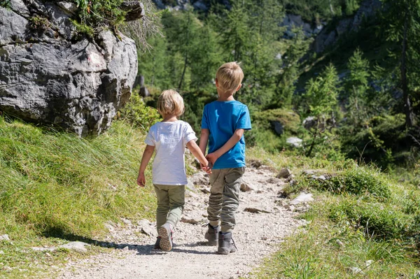 Vista Trasera Dos Hermanos Tomados Mano Mientras Caminan Por Sendero — Foto de Stock