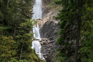 Yeşil bir yaz ormanında kayaların üzerine düşen güzel bir şelalenin uzun pozlama görüntüsü..