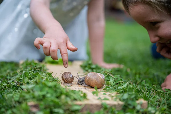 Dua Anak Balita Mengamati Siput Merangkak Rumput Hijau Terang — Stok Foto