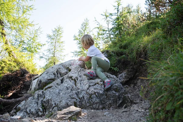 Peuter Kind Klimmen Rots Een Wandelpad Prachtige Groene Natuur — Stockfoto