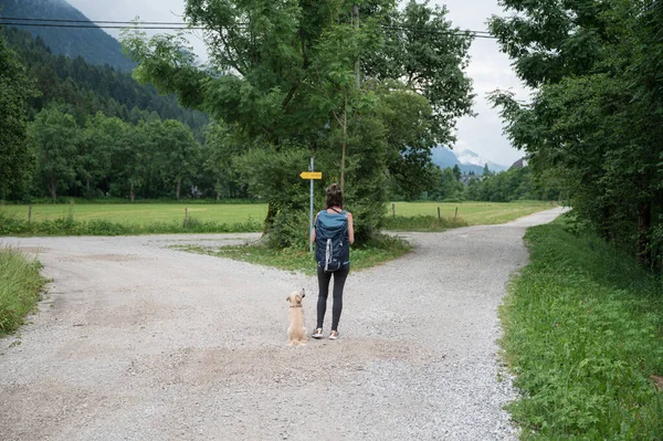 美しい緑の夏の自然の中で歩道の交差点に立っている彼女の犬と若い女性の後ろからの眺め 行く方法を決定します — ストック写真