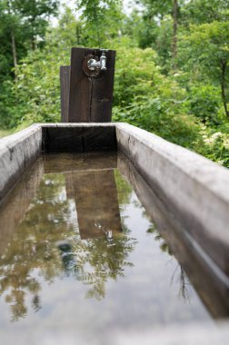 Yeşil doğanın ortasında kaynak suyu olan ahşap yalak..