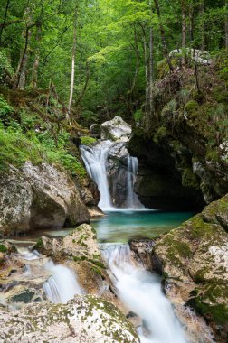 Su akıntısının bulanık görüntüsü. Küçük şelaleler güzel yeşil ormanlar ve yosun kayaları arasında akıyor..