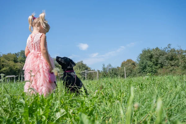 幼児女の子でかわいいですピンクのドレス立っていますで緑の牧草地とともに彼女のかわいいです黒Laborador子犬見ます彼女の注意 — ストック写真