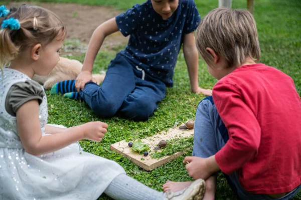 Tři Děti Sourozenci Sedí Zelené Trávě Pozorují Zkoumají Dva Šneky — Stock fotografie