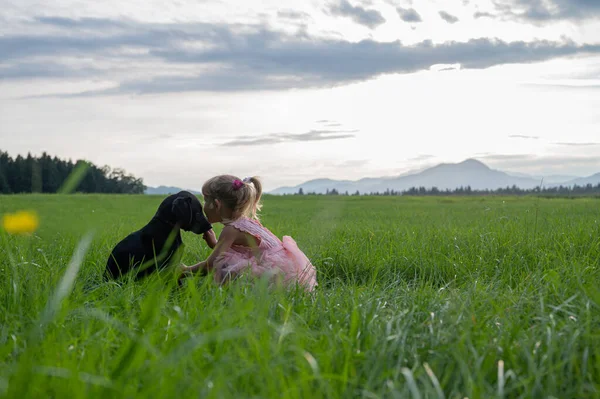 Krásné Přátelství Mezi Psem Dívkou Sedící Krásné Zelené Louce Podvečer — Stock fotografie