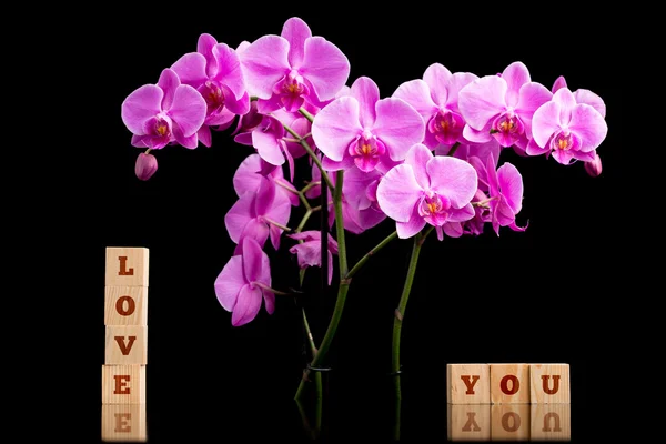 Tender Love You background — Stock Photo, Image
