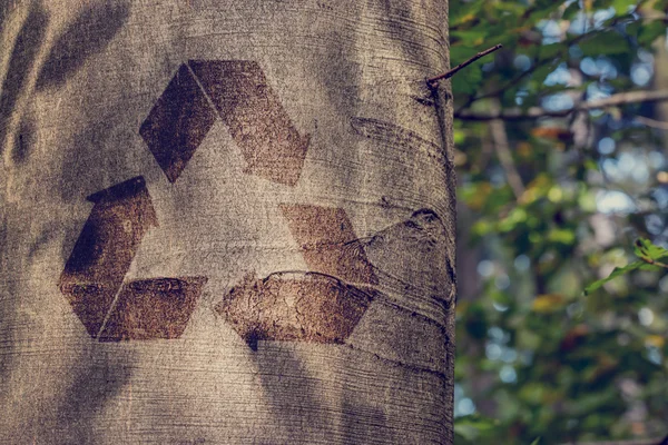 Symbole de recyclage sur le tronc d'un arbre — Photo