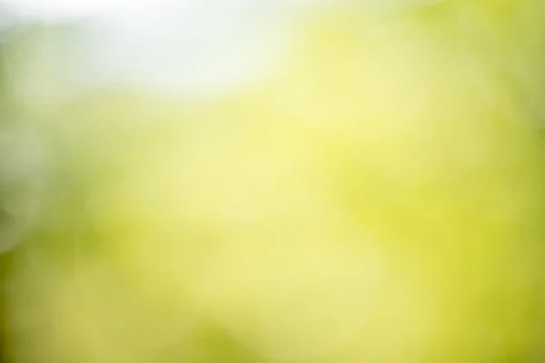 Suddig eller defocused natur abstrakt bakgrund — Stockfoto