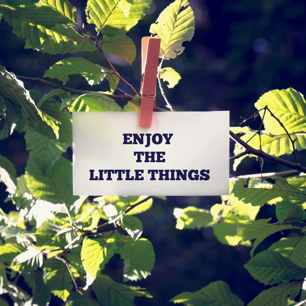 Desfrutar das pequenas coisas — Fotografia de Stock