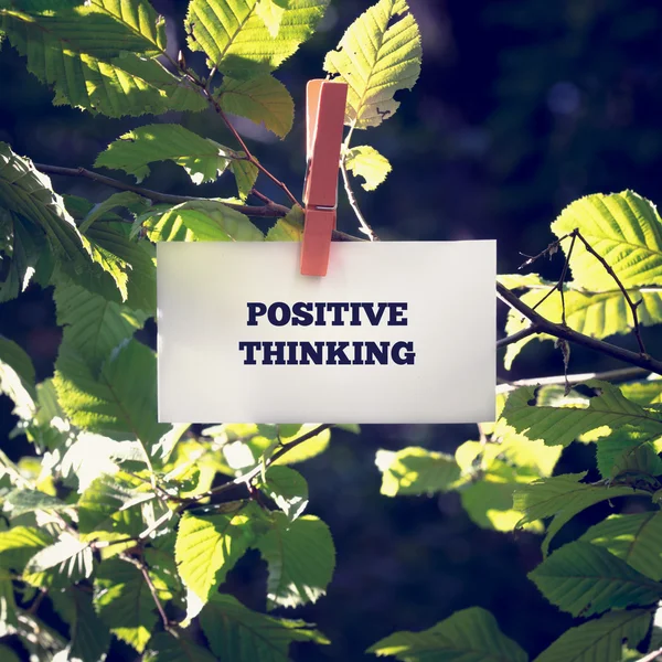 Mensagem de pensamento positivo grampeada na planta verde — Fotografia de Stock