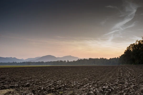 Brown Landscape in Extensive View — Stock Photo, Image