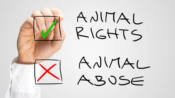 Hayvan hakları ve küfür etmek için onay kutularını işaretlemek — Stok fotoğraf