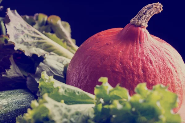 Close up Fresh Vegetables on Black Background — Stock Photo, Image