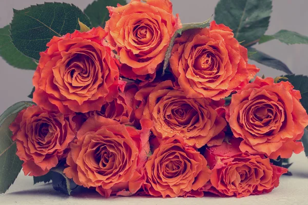 Strauß orangefarbener Rosen mit grünen Blättern — Stockfoto