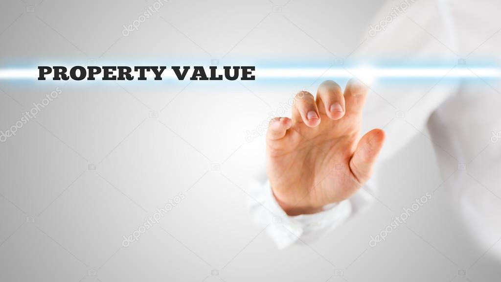 The words - Property value - on a virtual interface
