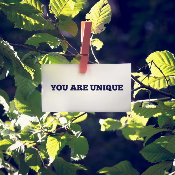 You are unique — Stock Photo, Image