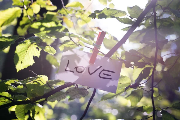 Message of Love in nature — Stock Photo, Image