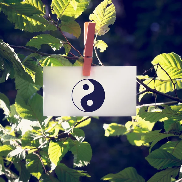 Yin and yang symbol on a white card hanging from a leafy green b — Stock Photo, Image