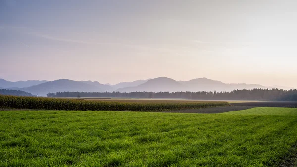 Landscape in Extensive View, Captured on Afternoon with a Field — Stock Photo, Image