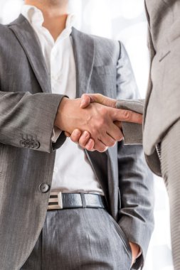 Businessman shaking hands with a client clipart