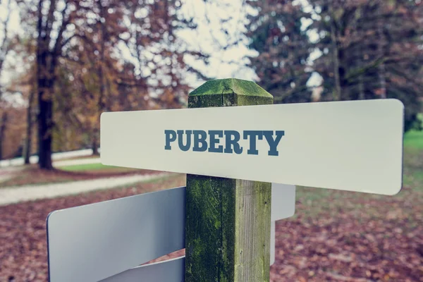 Cartello di pubertà su un palo di legno — Foto Stock