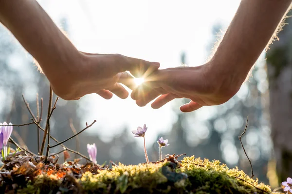 Hand som täcker blommorna i trädgården med solljus — Stockfoto