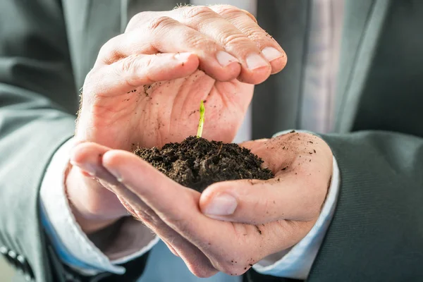 Businessman holding a sprouting seedling