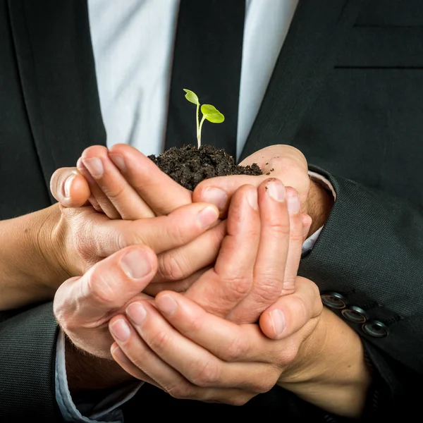 Cupped hands united to protect a green sprout — Stock Photo, Image
