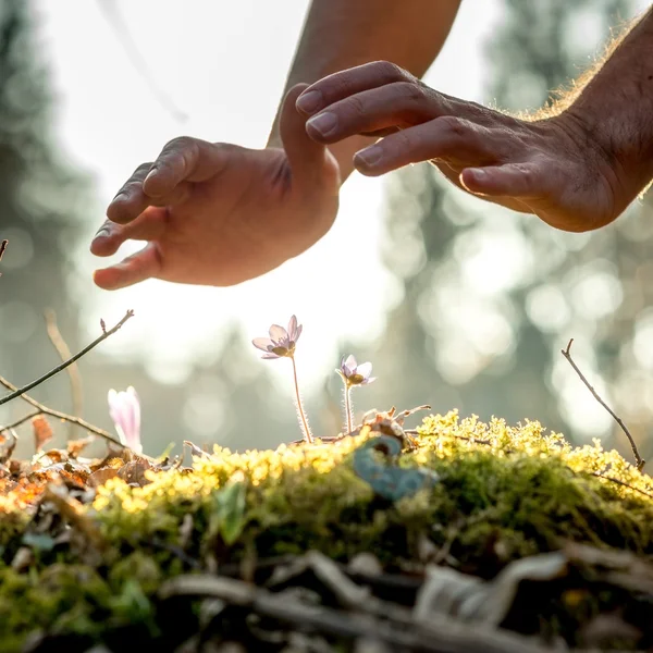 Conceptual image of male hands making a protective gesture over — Stock Photo, Image