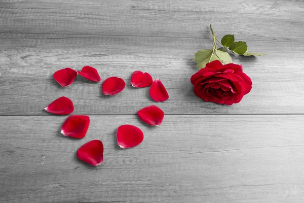 Red Rose and Petals Arranged in Heart Shape — Stok fotoğraf