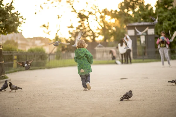 Malé dítě běh parkem při západu slunce — Stock fotografie
