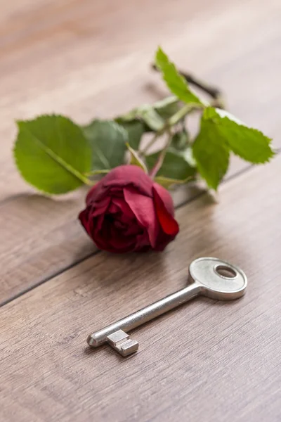 Flower and key — Stock Photo, Image