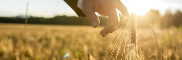 Бизнесмен или эколог тянется пальцем вниз
