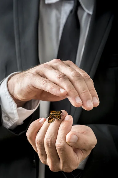 Businessman nurturing a butterfly — Zdjęcie stockowe