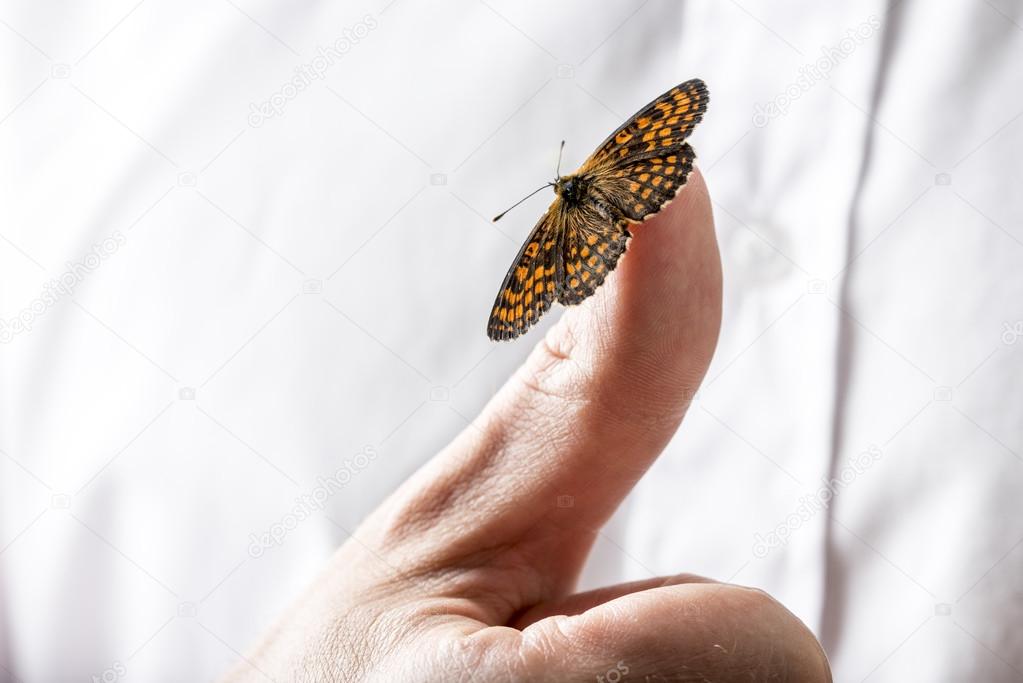 Beautiful butterfly on a businessman finger holding out his hand